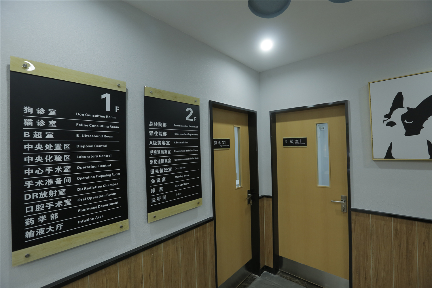 武汉最好的宠物医院排名,武汉比较正规的宠物医院