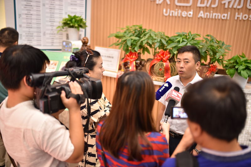 武汉最好的宠物医院排名,武汉比较正规的宠物医院