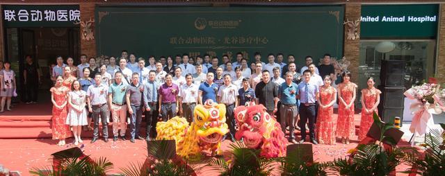 武汉最好的宠物医院排名,武汉比较正规的宠物医院