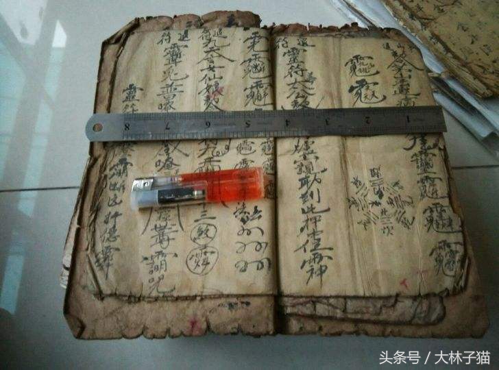 民间鬼事录：农村某小孩用石头砸狐狸后，第二天开始生吃起鸡鸭肉