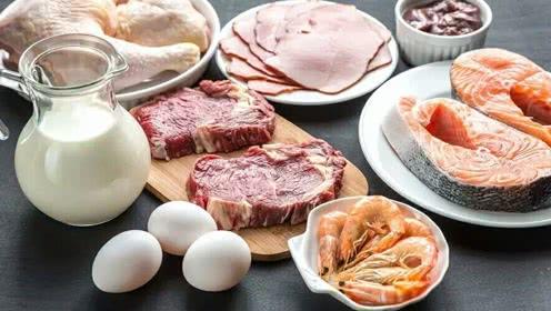 养猫怎么养胖,养猫怎么把猫养温柔