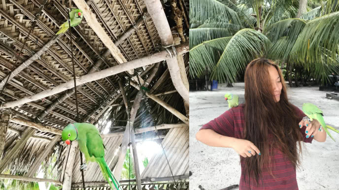 世界上最大的环屿岛,世界最大无人岛屿