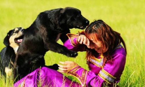 狗狗扑人咬小孩怎么训练,训练狗狗不扑人的妙招视频