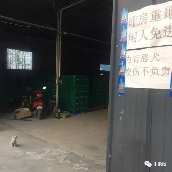 一款进化鲲的游戏,开局一条鲲进化全靠吞噬游戏视频