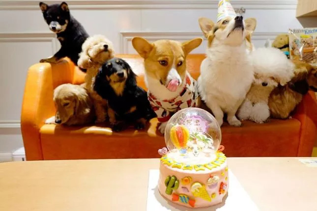 桂林值得去的咖啡店,桂林路氛围感咖啡店