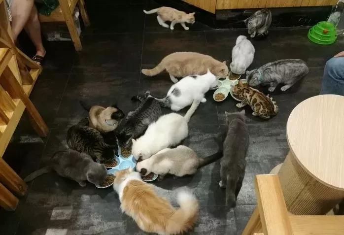 桂林值得去的咖啡店,桂林路氛围感咖啡店