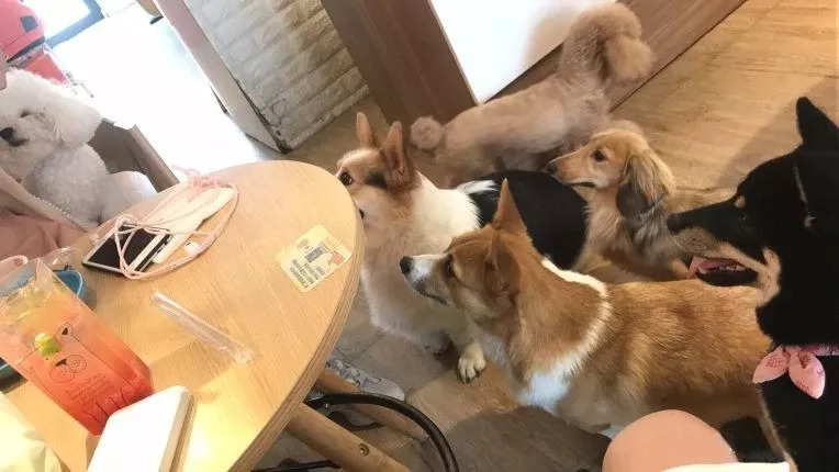 桂林值得去的咖啡店,桂林路氛围感咖啡店