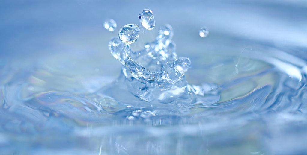 养猫怎么养胖,养猫怎么把猫养温柔