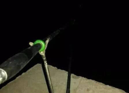 夜钓黄蜂鱼和土鲶一大盆,被鱼鳍割破了手