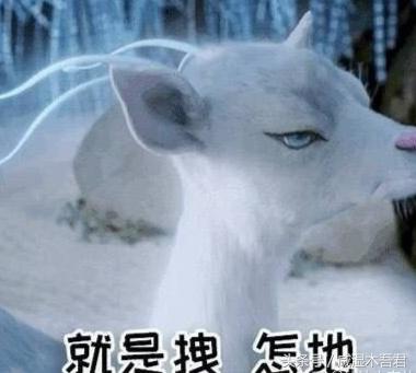 8月份分手季,八月份分手的季节