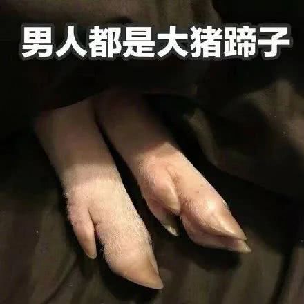 大猪蹄子是个什么梗,网上说男人是大猪蹄子是什么意思