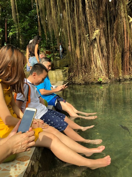 菲律宾自由行住宿雾岛,菲律宾薄荷岛宿务自由行