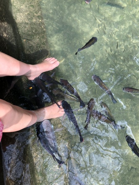 菲律宾自由行住宿雾岛,菲律宾薄荷岛宿务自由行