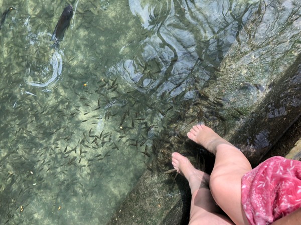 菲律宾自由行住宿雾岛,菲律宾薄荷岛宿务自由行