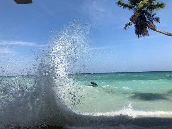 菲律宾自由行住宿雾岛,菲律宾薄荷岛宿务自由行