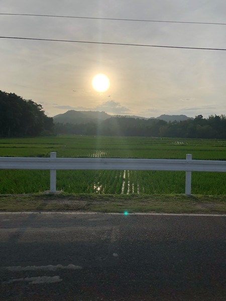 菲律宾自由行住宿雾岛,菲律宾薄荷岛宿务自由行