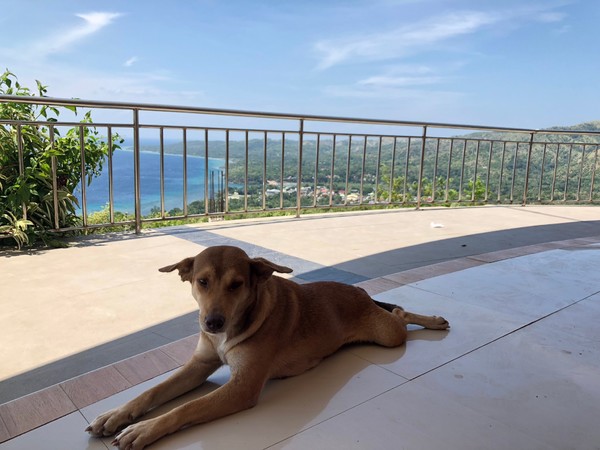 菲律宾自由行住宿雾岛,菲律宾薄荷岛宿务自由行