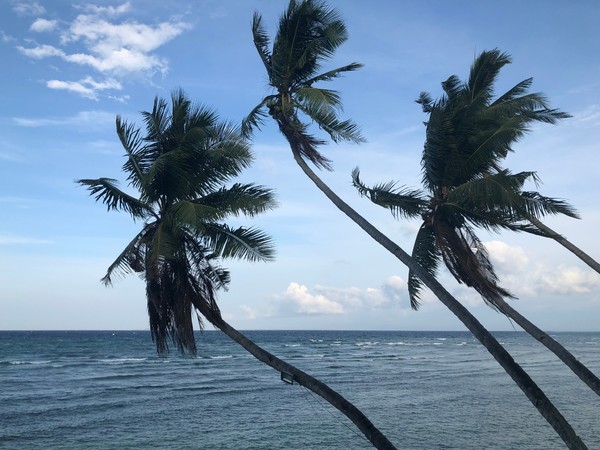 菲律宾自由行住宿雾岛,菲律宾薄荷岛宿务自由行
