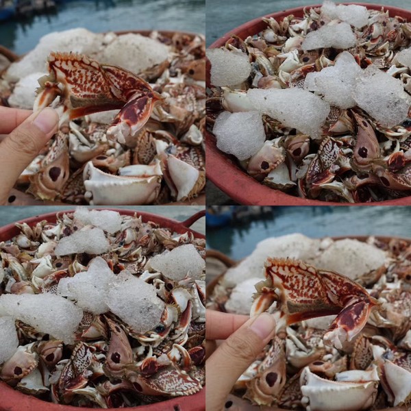 福建东山岛风动石景区视频,漳州东山县风动石景区介绍