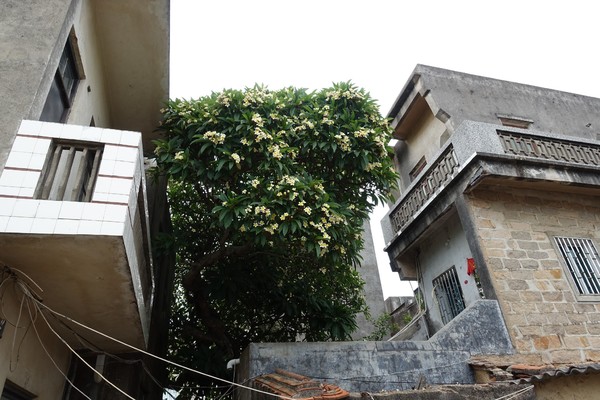 福建东山岛风动石景区视频,漳州东山县风动石景区介绍