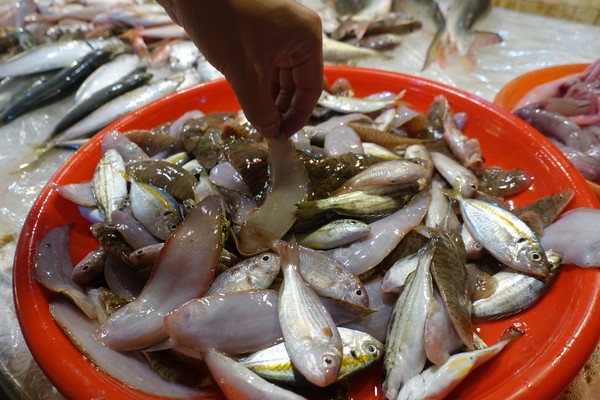福建东山岛风动石景区视频,漳州东山县风动石景区介绍