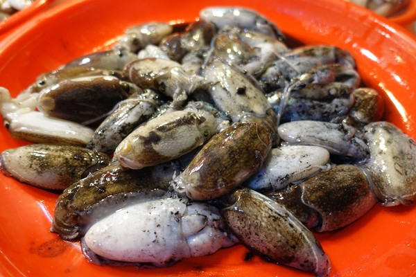 福建东山岛风动石景区视频,漳州东山县风动石景区介绍