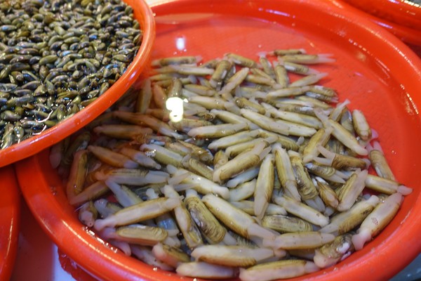 福建东山岛风动石景区视频,漳州东山县风动石景区介绍