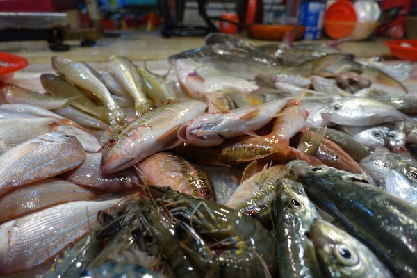 福建东山岛风动石景区视频,漳州东山县风动石景区介绍