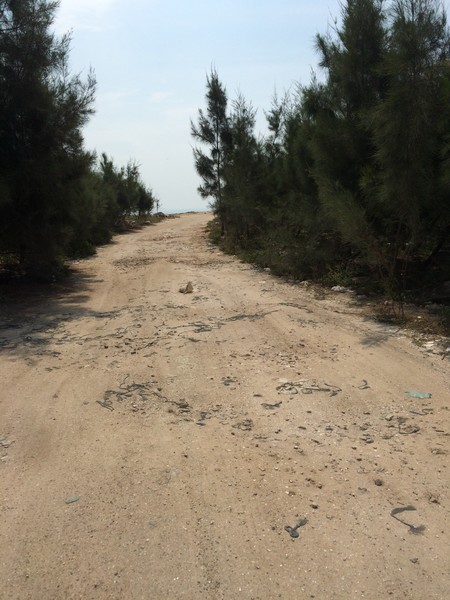 福建东山岛风动石景区视频,漳州东山县风动石景区介绍