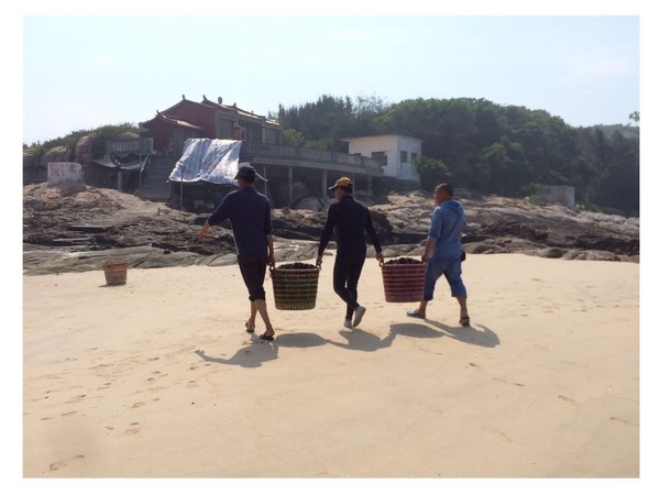 福建东山岛风动石景区视频,漳州东山县风动石景区介绍