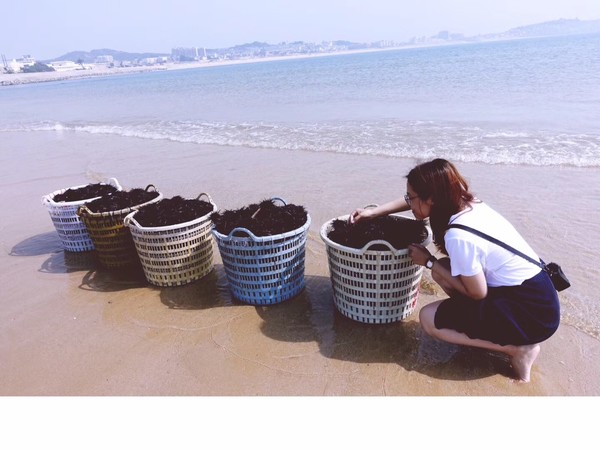 福建东山岛风动石景区视频,漳州东山县风动石景区介绍