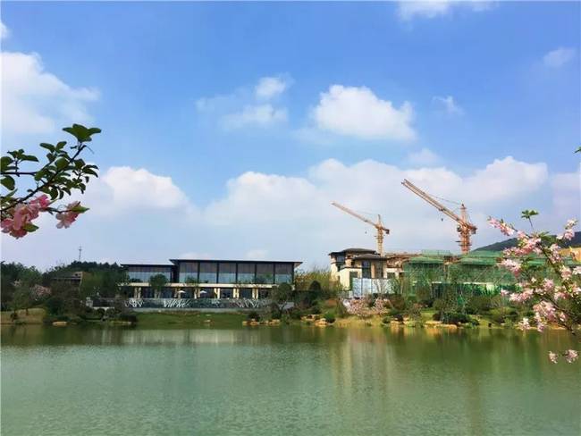 通俗易懂的风水技巧有哪些,风水干货知识讲解大全图解