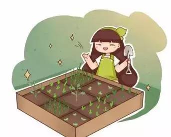 衡水城郊租地种菜,城市租地种菜