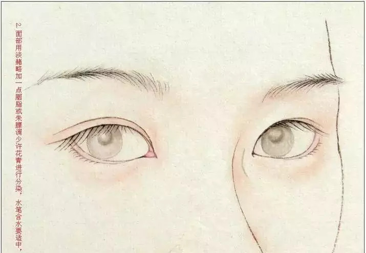 花鸟工笔白描淡彩重彩水彩,古代美女工笔淡彩白描