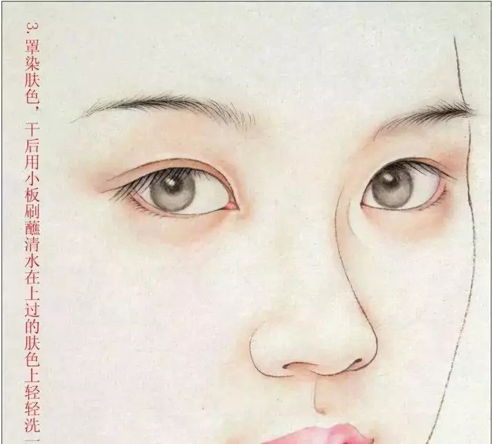 花鸟工笔白描淡彩重彩水彩,古代美女工笔淡彩白描