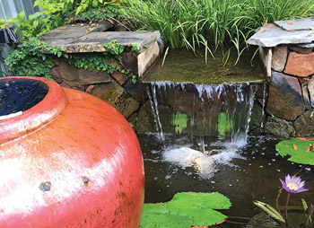 「龟龟环境篇」沼泽过滤（bogfilter）：一种原生态水处理技术