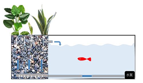 「龟龟环境篇」沼泽过滤（bogfilter）：一种原生态水处理技术