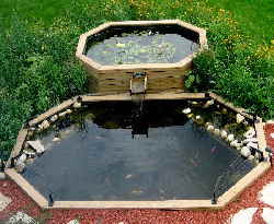 「龟龟环境篇」沼泽过滤（bogfilter）：一种原生态水处理技术