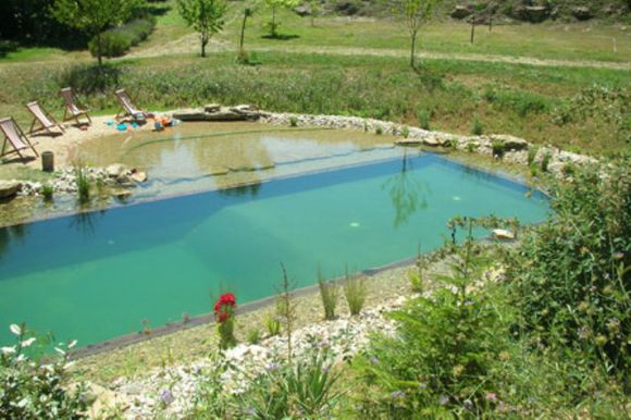 「龟龟环境篇」沼泽过滤（bogfilter）：一种原生态水处理技术