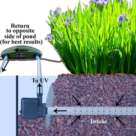「龟龟环境篇」沼泽过滤（bogfilter）：一种原生态水处理技术