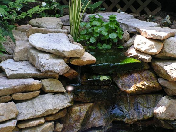 「龟龟环境篇」沼泽过滤（bogfilter）：一种原生态水处理技术