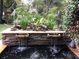 「龟龟环境篇」沼泽过滤（bogfilter）：一种原生态水处理技术