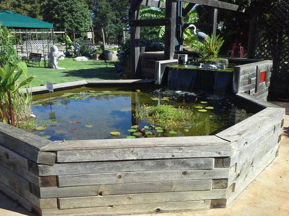 「龟龟环境篇」沼泽过滤（bogfilter）：一种原生态水处理技术