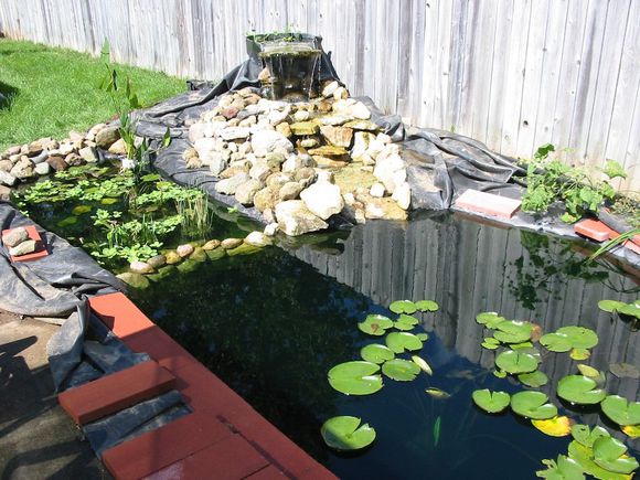 「龟龟环境篇」沼泽过滤（bogfilter）：一种原生态水处理技术