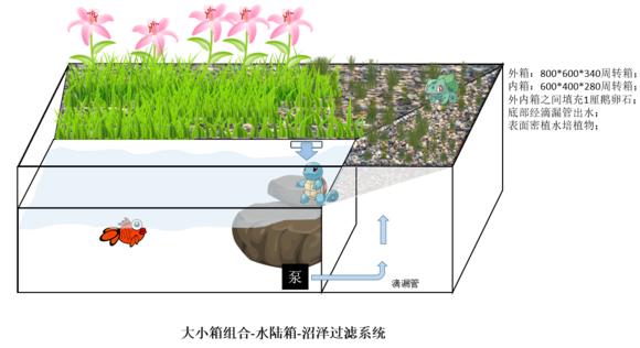 「龟龟环境篇」沼泽过滤（bogfilter）：一种原生态水处理技术