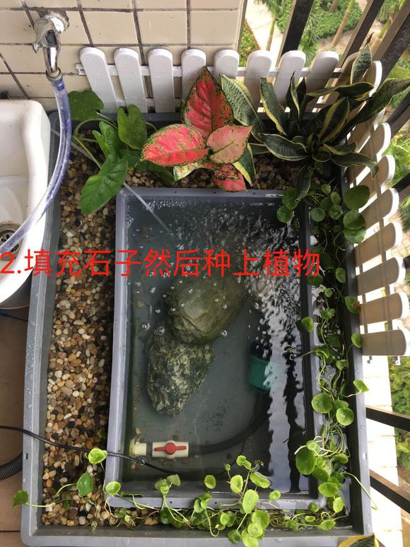 「龟龟环境篇」沼泽过滤（bogfilter）：一种原生态水处理技术