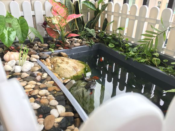 「龟龟环境篇」沼泽过滤（bogfilter）：一种原生态水处理技术