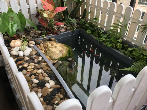 「龟龟环境篇」沼泽过滤（bogfilter）：一种原生态水处理技术