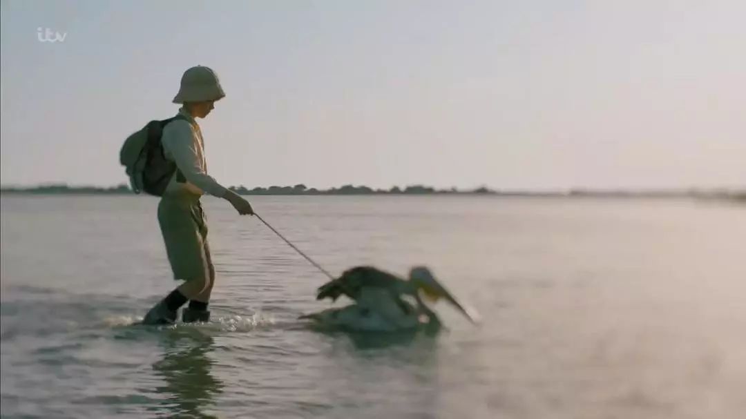 住岛上的生活,住在岛上真实的生活