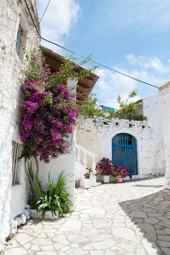 住岛上的生活,住在岛上真实的生活